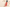 Aktionsbanner
